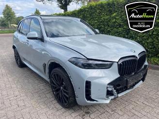 BMW X5 X5 (G05), SUV, 2018 xDrive50e 3.0 24V picture 11