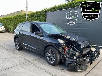 Ford Kuga Kuga III (DFK), SUV, 2019 2.5 PHEV 16V picture 2