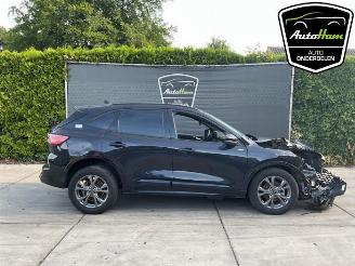 skadebil auto Ford Kuga Kuga III (DFK), SUV, 2019 2.5 PHEV 16V 2023/6