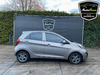 Vrakbiler auto Kia Picanto Picanto (TA), Hatchback, 2011 / 2017 1.0 12V 2014/1