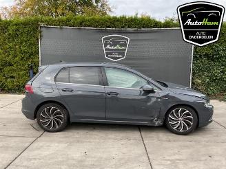 Volkswagen Golf Golf VIII (CD1), Hatchback, 2019 1.5 TSI BlueMotion 16V picture 1