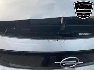 Opel Frontera Frontera (OV24), SUV, 2024 Electric 44 kWh picture 15