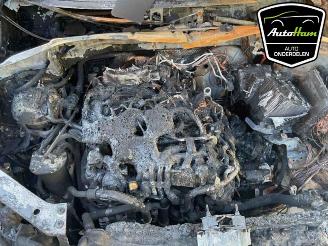 Volkswagen Tiguan Tiguan (AD1), SUV, 2016 / 2024 2.0 TDI 16V 4Motion picture 14