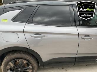 Opel Grandland Grandland (X), SUV, 2017 1.6 Turbo 16V Hybrid picture 10