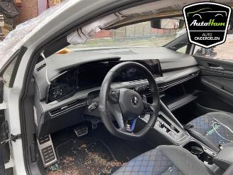 Volkswagen Golf Golf VIII (CD1), Hatchback, 2019 2.0 TSI R 16V 4Motion picture 15