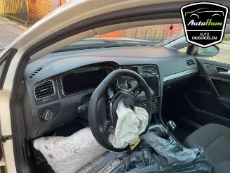 Volkswagen Golf Golf VII (AUA), Hatchback, 2012 / 2021 e-Golf picture 14