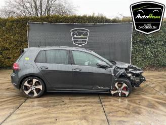  Volkswagen Golf Golf VII (AUA), Hatchback, 2012 / 2021 2.0 GTI 16V Performance Package 2013/9