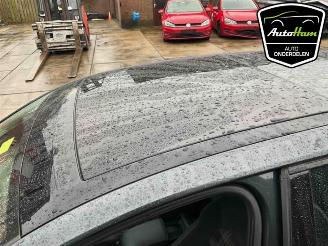 Volkswagen Golf Golf VII (AUA), Hatchback, 2012 / 2021 2.0 GTI 16V Performance Package picture 23