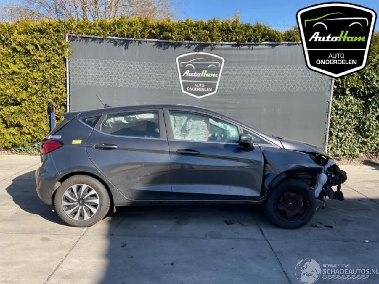 Ford Fiesta Fiesta 7, Hatchback, 2017 1.0 EcoBoost 12V Hybrid 125