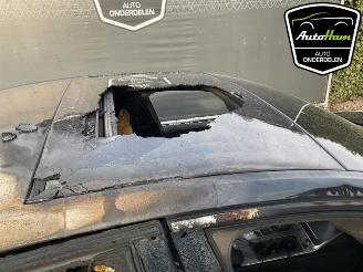 Audi A6 A6 (C8), Sedan, 2018 2.0 16V 55 TFSI E Mild hybrid Quattro picture 16