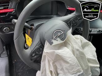 Opel Corsa Corsa F (UB/UH/UP), Hatchback 5-drs, 2019 1.2 Turbo 12V 100 picture 16