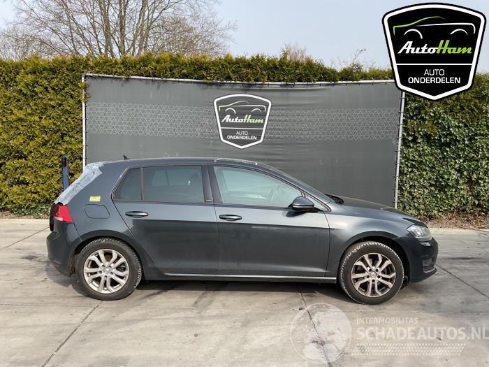 Volkswagen Golf Golf VII (AUA), Hatchback, 2012 / 2021 1.4 TSI BlueMotion Technology 125 16V