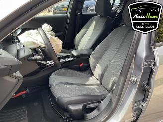 Peugeot 208 208 II (UB/UH/UP), Hatchback 5-drs, 2019 1.2 Hybrid 100 picture 22