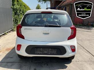 Kia Picanto Picanto (JA), Hatchback, 2017 1.0 DPI 12V picture 7