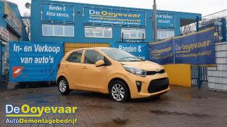Sloopauto Kia Picanto Picanto (JA), Hatchback, 2017 1.0 12V 2018/8