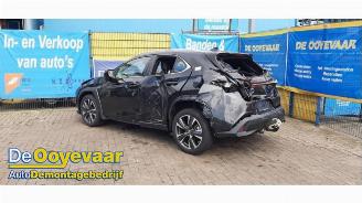 Lexus UX UX, SUV, 2019 250h 2.0 16V picture 5