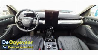 Ford Mustang Mach-e Mustang Mach-E, SUV, 2020 75kWh RWD, 98kWh Extended RWD picture 2