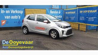 demontáž osobní automobily Kia Picanto Picanto (JA), Hatchback, 2017 1.0 DPi 12V 2024/2