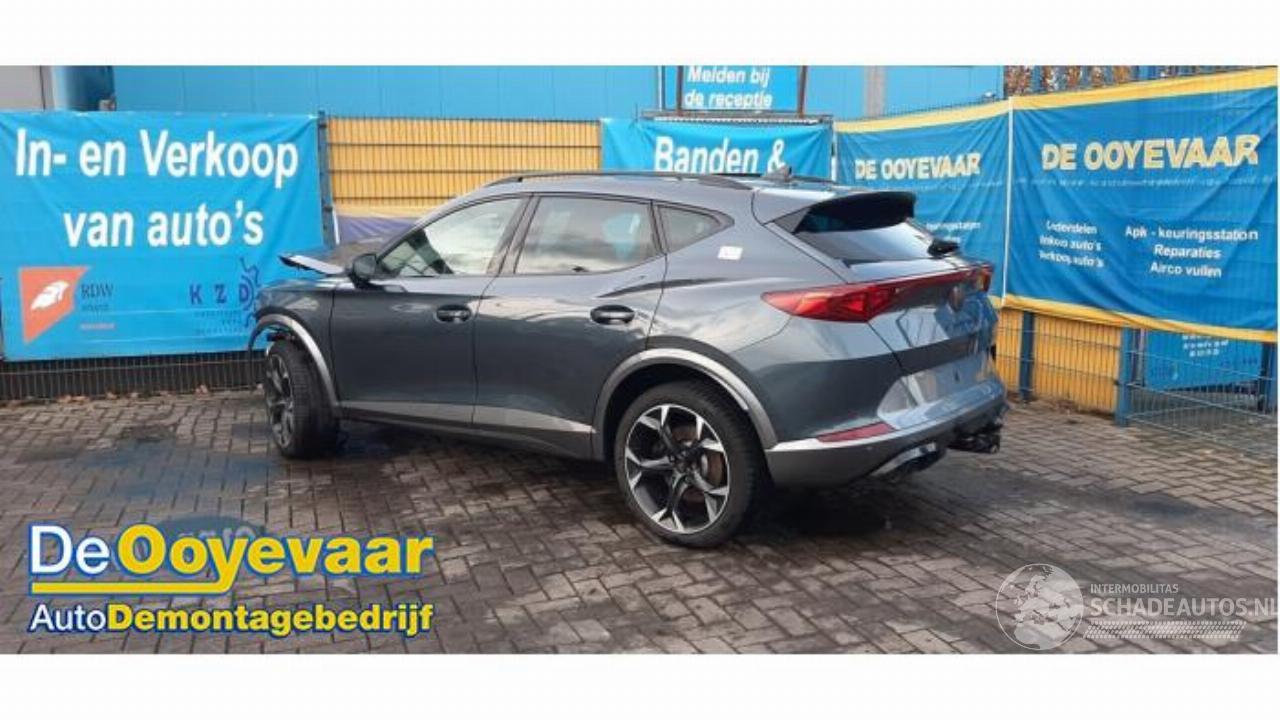 Cupra Formentor Formentor, SUV, 2020 2.0 TSI 16V 4Drive