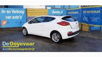 Coche siniestrado Kia Pro cee d Pro cee'd (JDB3), Hatchback 3-drs, 2013 / 2018 1.4i 16V CVVT 2013/4