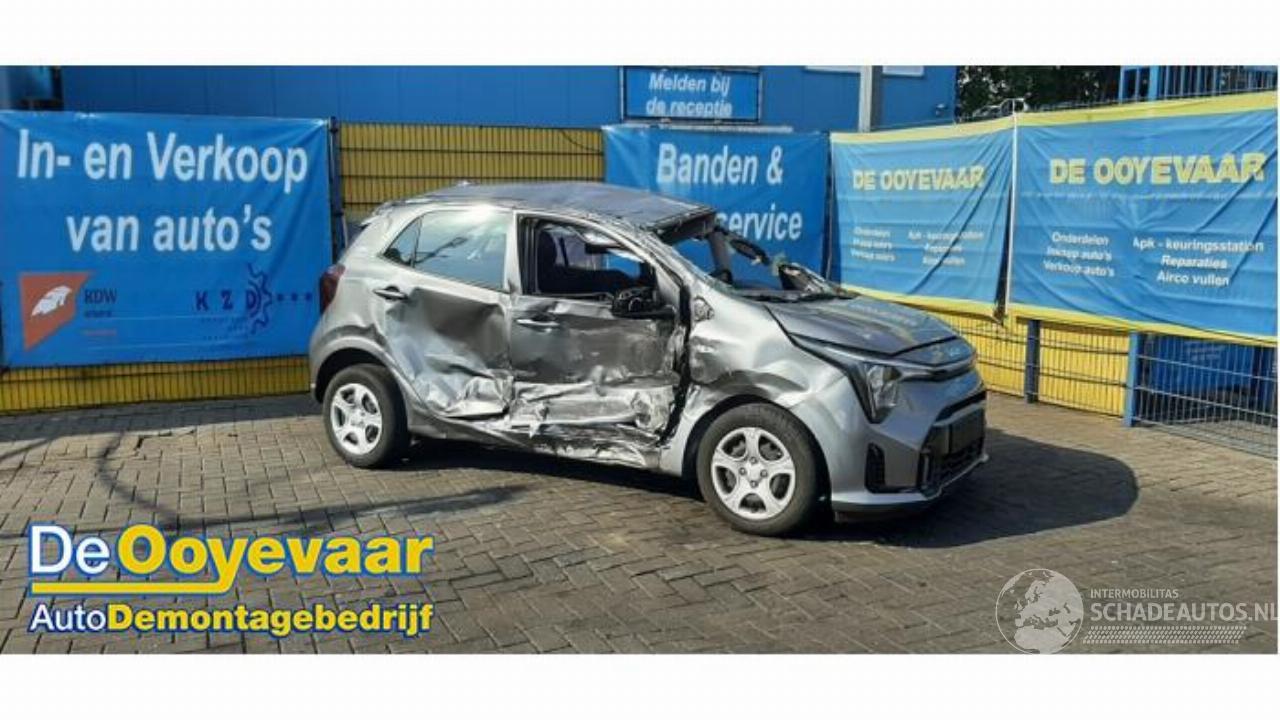 Kia Picanto Picanto (JA), Hatchback, 2017 1.0 DPI 12V