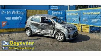 Purkuautot passenger cars Kia Picanto Picanto (JA), Hatchback, 2017 1.0 DPI 12V 2024/8