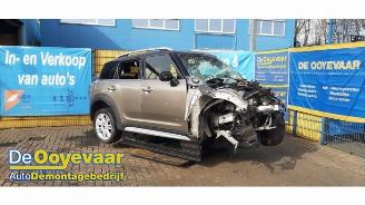 Mini Countryman Countryman (F60), SUV, 2016 1.5 TwinPower Turbo 12V Cooper SE ALL4 picture 4