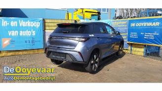 BYD Dolphin Dolphin, Hatchback 5-drs, 2021 60,4 kWh picture 3