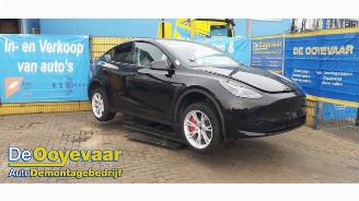 Purkuautot passenger cars Tesla Model Y Model Y (5YJY), SUV, 2019 / 2025 RWD 2023/5