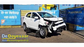 Kia Picanto Picanto (JA), Hatchback, 2017 1.0 DPi 12V picture 3