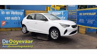 Vrakbiler auto Opel Corsa Corsa F (UB/UH/UP), Hatchback 5-drs, 2019 1.2 Turbo 12V 100 2020/6