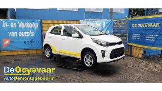 Sloopauto Kia Picanto Picanto (JA), Hatchback, 2017 1.0 DPi 12V 2022/8