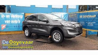  Ford Kuga Kuga III (DFK), SUV, 2019 2.5 PHEV 16V 2021/8