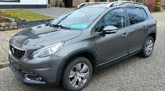 ocasión turismos Peugeot 2008 Peugeot 2008 Signature 2019/11