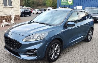 Damaged car Ford Kuga Ford Kuga 1.5 EcoBlue ST-Line Automaat 2021/6