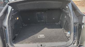 Peugeot 3008 Peugeot 3008  zeer komplete auto picture 16