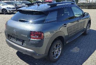 Citroën C4 cactus Citroën C4 Cactus Shine picture 4