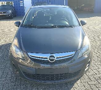 Opel Corsa OPEL Corsa D Selection picture 8