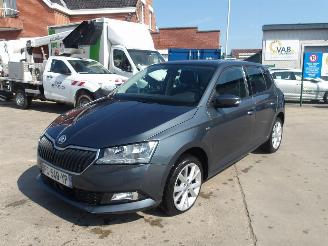 damaged passenger cars Skoda Fabia  2019/1