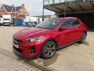 škoda osobní automobily Kia Xceed  2020/1