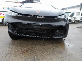 Cupra Born  picture 12