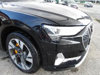 Audi E-tron SPORTBAG 50 QUATTRO picture 11