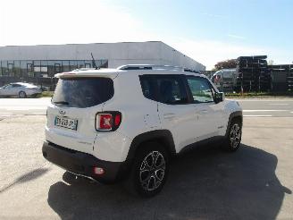 Jeep Renegade  picture 6