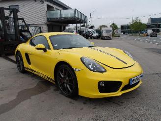  Porsche Cayman  2013/1