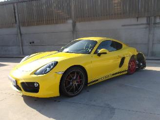 Porsche Cayman  picture 4