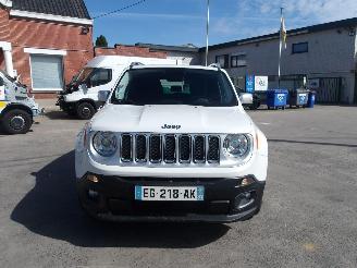 Jeep Renegade  picture 3