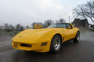 skadebil auto Chevrolet Corvette C3 STINGRAY 5.7 V8 T-BAR 1981/6