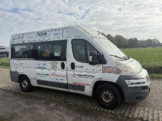 Fiat Ducato combi 33 2.3 MultiJet MH2 Gran Volume kombi / combi 148.000 km N.A.P. picture 13
