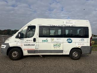 Fiat Ducato combi 33 2.3 MultiJet MH2 Gran Volume kombi / combi 148.000 km N.A.P. picture 3