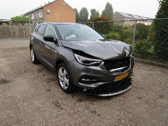 Opel Grandland X 1.2 T Navi Panodak Clima 6-Bak picture 3